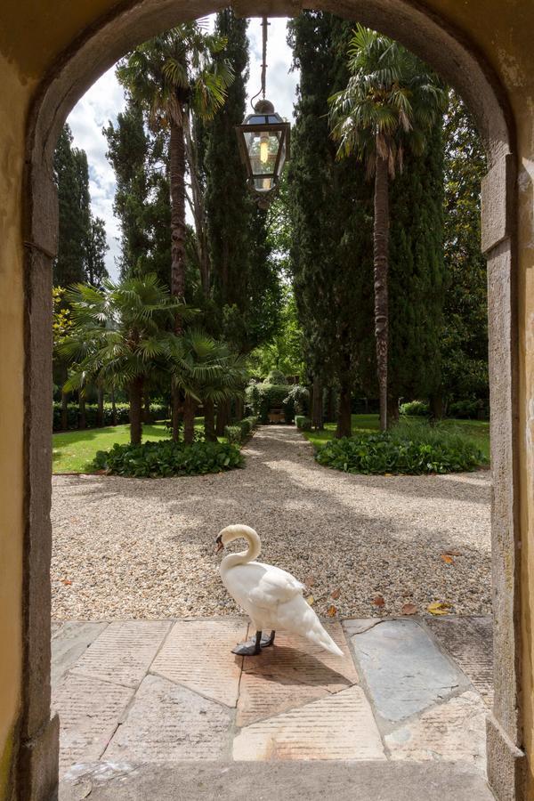 Coselli 'S Collection. Luxury Villas Rental Capannori Exterior photo